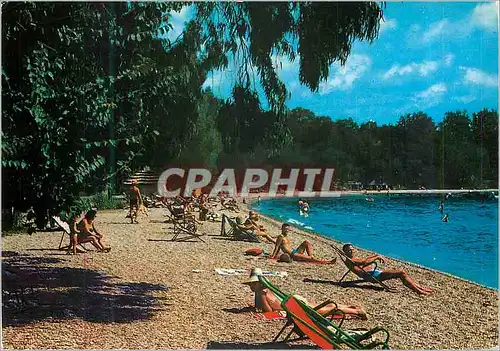 Cartes postales moderne Corfou Ipsos Club Mediterranee