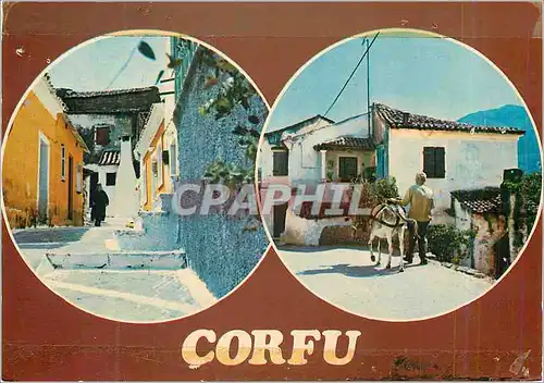 Cartes postales moderne Corfu Ane Donkey