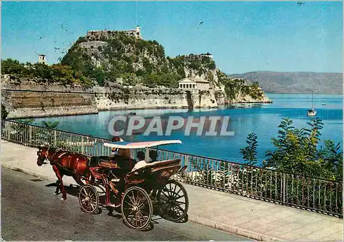 Cartes postales moderne Corfou Le Vieux Ch�teau Caleche