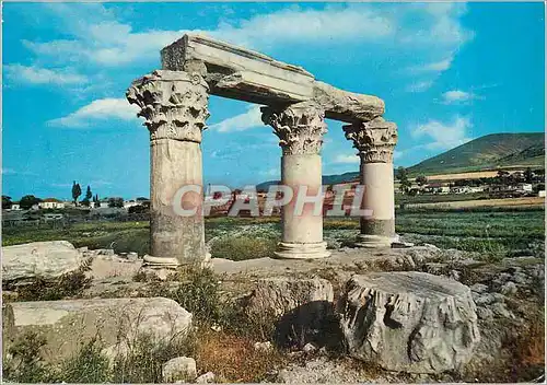 Cartes postales moderne Corinthe (Antique) Les Ruines d'un Temple Antique