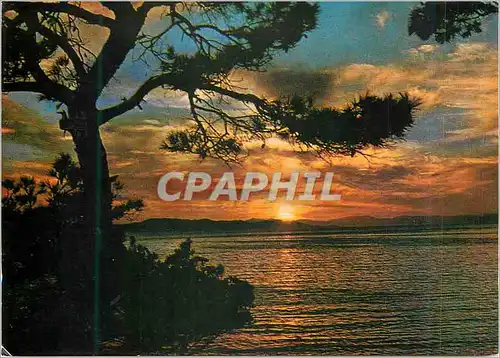 Cartes postales moderne Grece Le Coucher du Soleil au Saronicos