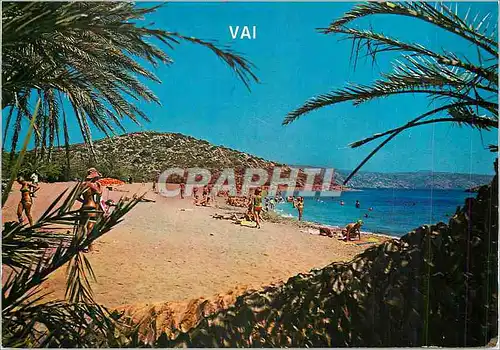 Cartes postales moderne Vai Sitia Crete Les Palmiers et la Plage