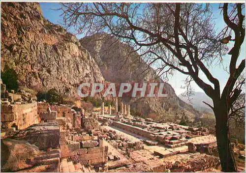 Moderne Karte Delphes vue du Temple d'Apollon