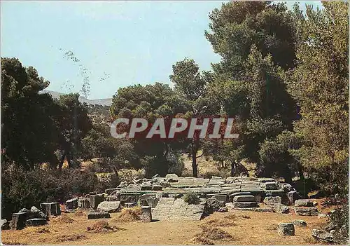 Cartes postales moderne Epidaure le Grands Propylees