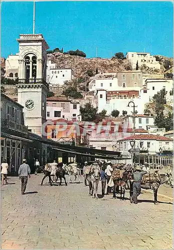 Cartes postales moderne Hydra sur la Cote Ane Donkey