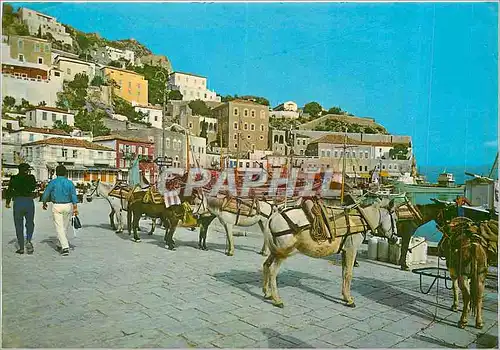 Cartes postales moderne Hydra Moyens de Transport avec l'Interieur Ane Donkey