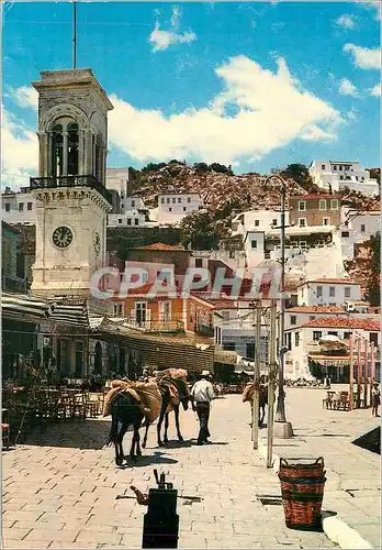 Cartes postales moderne Hydra sur la Cote Ane Donkey