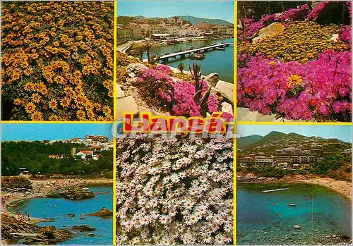 Cartes postales moderne Llansa (Costa Brava) Varios Aspectos y Flores