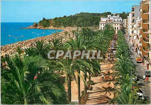 Cartes postales moderne Lloret Paseo Costa Brava