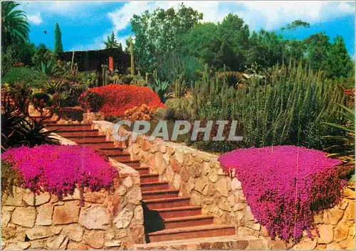 Cartes postales moderne Lloret de Mar Blanes Sta Cristina Girona Costa Brava Jardin Botanico Tropical Pinya de Rosa