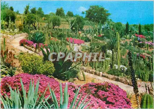 Cartes postales moderne Lloret de Mar Blanes Sta Cristina Girona Costa Brava Jardin Botanico Tropical Pinya de Rosa