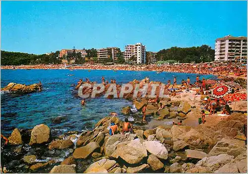 Cartes postales moderne Lloret de Mar Costa Brava Cala y Playa Fanals