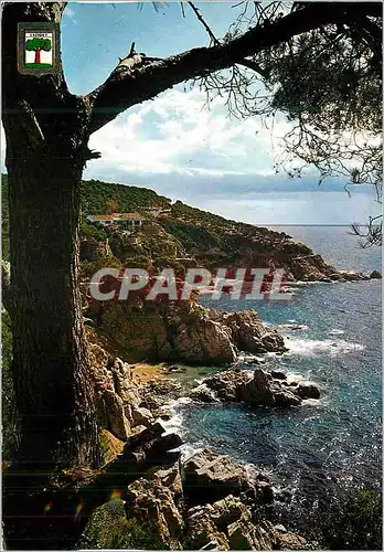 Cartes postales moderne Lloret de Mar (Costa Brava)