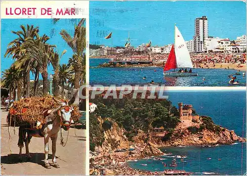 Cartes postales moderne Lloret de Mar (Costa Brava) Different Aspects of Lloret