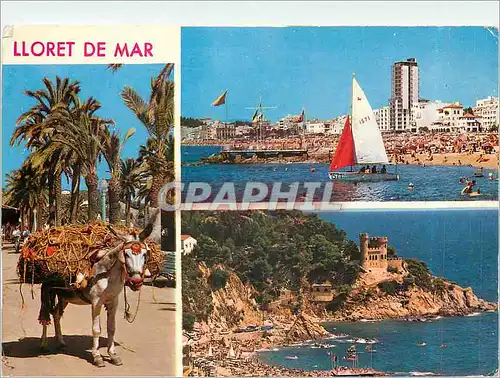 Cartes postales moderne Lloret de Mar (Costa Brava) Different Aspects of Lloret