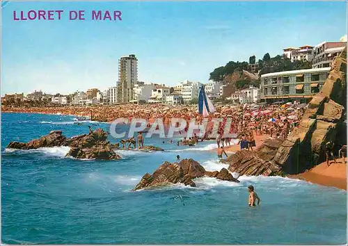 Cartes postales moderne Lloret de Mar Costa Brava