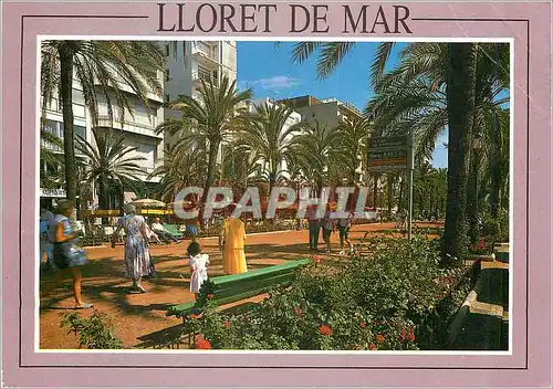 Cartes postales moderne Lloret de Mar (Costa Brava) Passeig Mn J Verdaguer