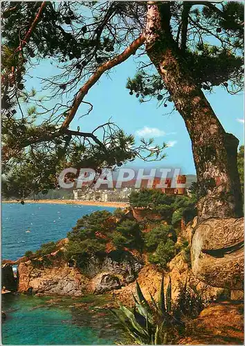 Cartes postales moderne Lloret de Mar Costa Brava