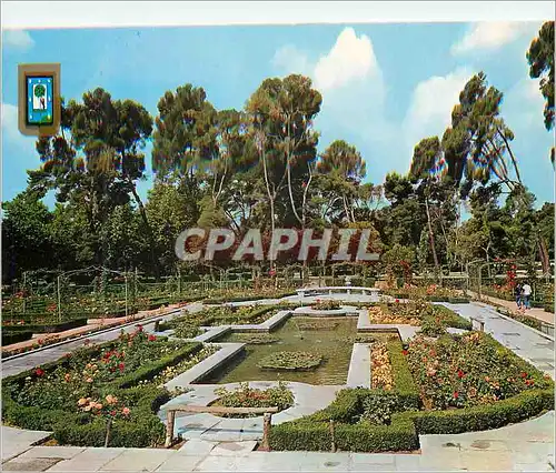 Moderne Karte Madrid Parc du Retiro Roseraie