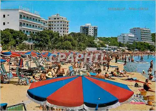 Moderne Karte Mallorca Playa de Magaluf