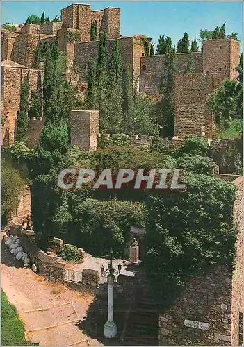 Cartes postales moderne Malaga Costa Del Sol Citadelle
