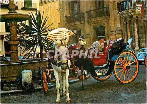 Moderne Karte Malaga (Costa Del Sol) Place de l'Eveque Caleche Cheval