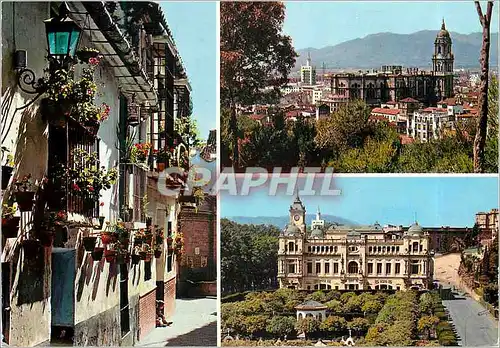 Cartes postales moderne Malaga Beautes de la Ville