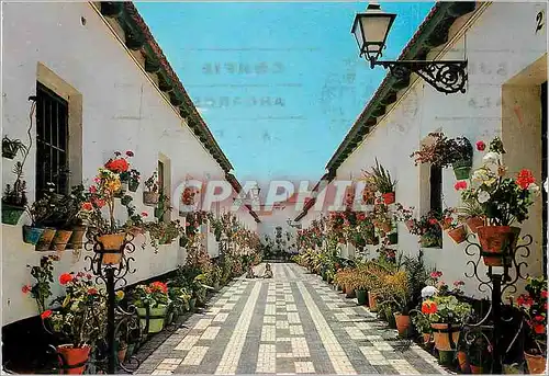 Cartes postales moderne Malaga Rue Tipique