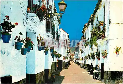 Moderne Karte Malaga Rue Tipique Quartier de la Trinite