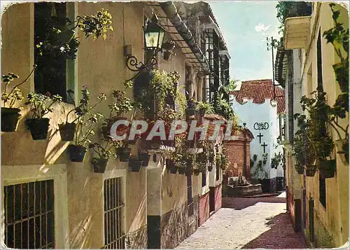 Cartes postales moderne Malaga Costa Del Sol Rue des Cristos