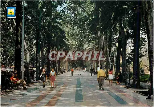 Cartes postales moderne Malaga Promenade du Parc