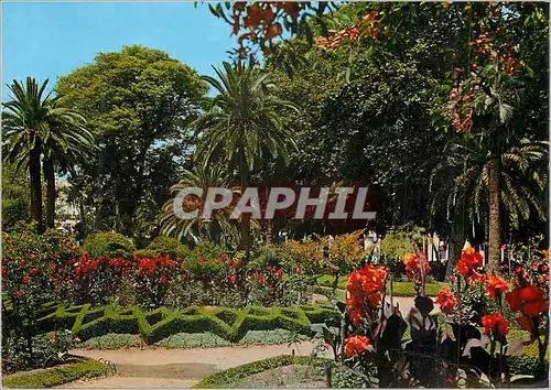 Cartes postales moderne Malaga (Costa del Sol) Joli Coin du Parc