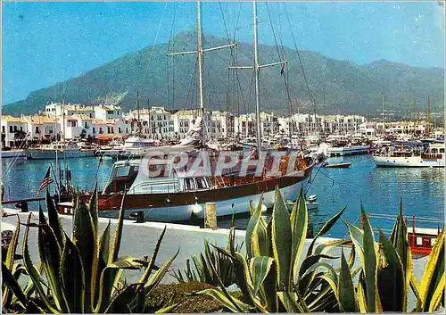 Cartes postales moderne Marbella Port Jose Banus Bateaux
