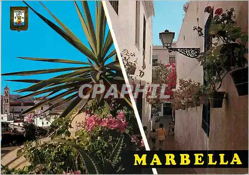 Cartes postales moderne Marbella