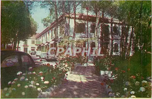 Cartes postales moderne Marbella (Malaga) Hotel Albamar Partielle des Jardins