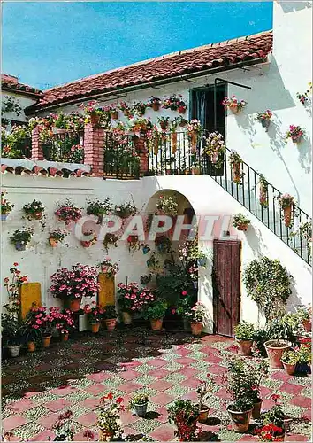 Cartes postales moderne Marbella (Costa del Sol) Potio Tipico