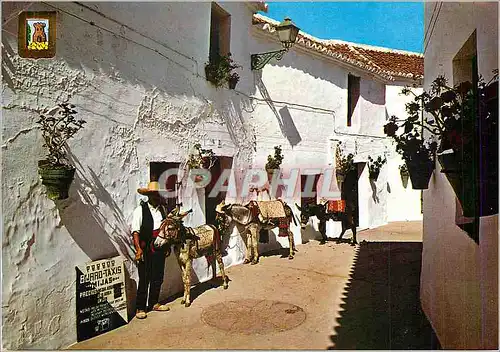 Cartes postales moderne Mijas (Costa del Sol) Arret de Ane Taxi Ane Donkey