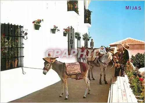 Cartes postales moderne Mijas (Costa Del Sol) Servicio Burro Taxi Ane Donkey