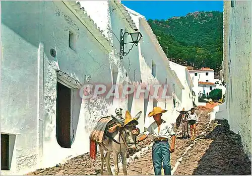 Cartes postales moderne Mijas (Malaga) Calle Tipica (La Sierra al Fondo) Ane Donkey
