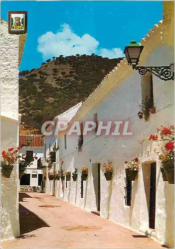 Cartes postales moderne Mijas (Malaga) Rue Typique
