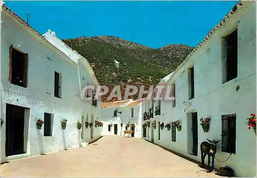 Cartes postales moderne Costa del Sol Mijas Rue des Canos