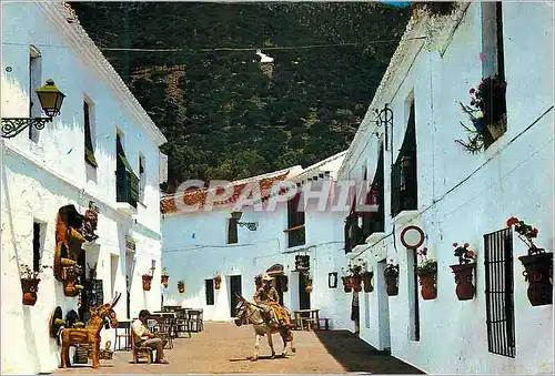 Cartes postales moderne Costa del Sol Mijas Rue Typique Ane Donkey