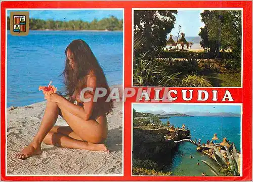 Cartes postales moderne Mallorca Alcudia Divers Aspects