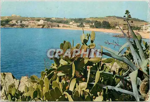 Cartes postales moderne Palamos Plage la Fosca