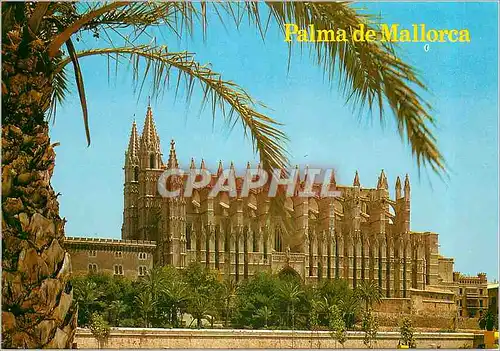 Cartes postales moderne Palma de Mallorca la Catedral