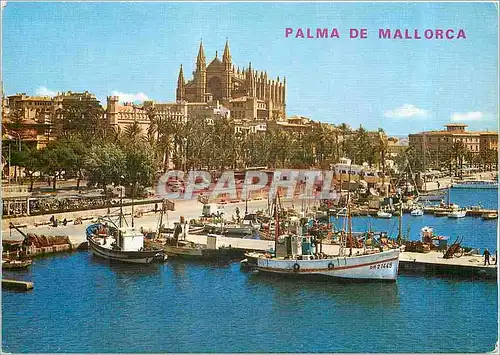 Cartes postales moderne Palma de Mallorca la Catedral Bateaux