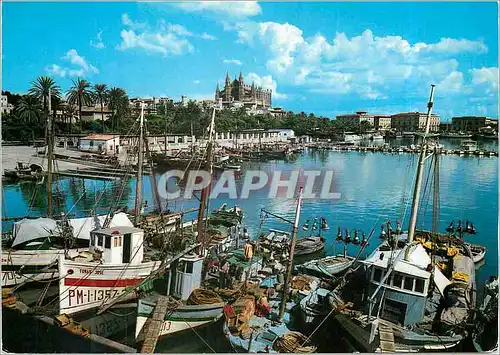 Cartes postales moderne Palma de Mallorca Detalle del Puerto  Bateaux