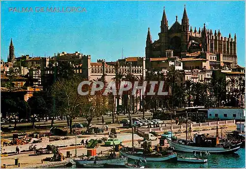 Cartes postales moderne Palma de Mallorca la Lonja y la Catedral Bateaux
