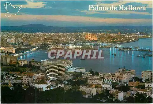 Cartes postales moderne Palma de Mallorca la Bahia de Noche