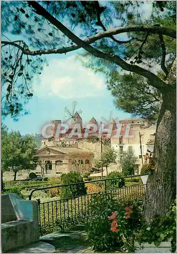 Cartes postales moderne Mallorca (Baleares) Espana Palma Molinos de el Jonquet